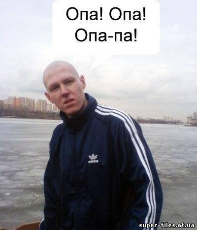 Симулятор общения с гопником (2010) PC